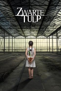 Watch free Black Tulip movies online - Gomovies