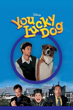 Watch free You Lucky Dog movies online - Gomovies