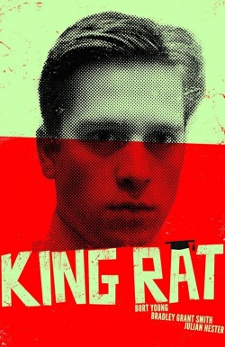 Watch free King Rat movies online - Gomovies