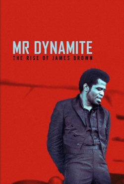 Watch free Mr. Dynamite - The Rise of James Brown movies online - Gomovies