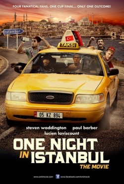 Watch free One Night in Istanbul movies online - Gomovies